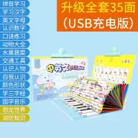 有声拼音挂图幼儿识字儿童语音发声早教玩具1岁宝宝启蒙3墙贴 35面1558个有声读物/充电款