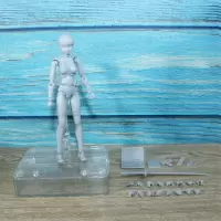 SHF人体模型素体手办人偶万代画画绘画美术漫画写生素描参考男女 灰色女1代豪华版 高约15cm