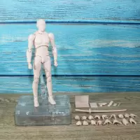 SHF人体模型素体手办人偶万代画画绘画美术漫画写生素描参考男女 肤色男1代豪华版 高约15cm