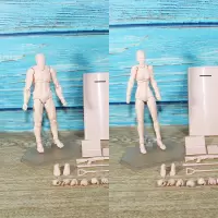 figma素体手办人体模型人偶参考绘画工具画画美术漫画男女国产 2.0豪华版肤色男女 国产