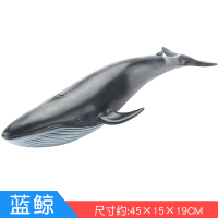 海洋生物玩具模型 仿真动物鲨鱼玩具 儿童软胶仿真蓝鲸虎鲸大白鲨 蓝鲸