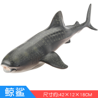 海洋生物玩具模型 仿真动物鲨鱼玩具 儿童软胶仿真蓝鲸虎鲸大白鲨 鲸鲨