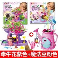 亿奇梦幻花园女孩种植物魔幻小盆栽景手工diy魔法豆种子开花玩具 [梦幻花园]牵牛花紫色+魔法豆粉色