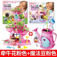 亿奇梦幻花园女孩种植物魔幻小盆栽景手工diy魔法豆种子开花玩具 [梦幻花园]牵牛花粉色+魔法豆粉色