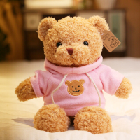 泰迪熊毛绒玩具小熊公仔抱抱熊布娃娃毛衣泰迪熊公仔生日女生 粉色卫衣海藻绒款 全长50厘米