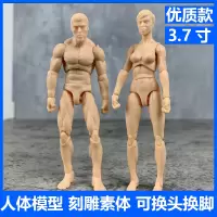 人体模型美术人偶绘画素体工具头雕刻雕3.7寸10cm男女关节可动