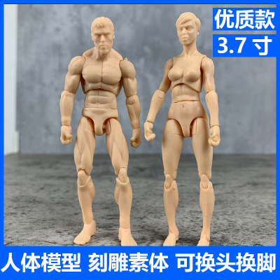 人体模型美术人偶绘画素体工具头雕刻雕3.7寸10cm男女关节可动