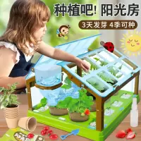 儿童玩具5岁以上6小学生8过家家12儿童7-9男孩女孩10生日礼物智力