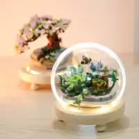 多肉积木盲盒盆栽兰花束植物拼装模型女生系列小颗粒情人礼物