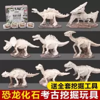 恐龙化石考古挖掘玩具霸王龙骨架模型手工diy男孩儿童挖宝石宝藏