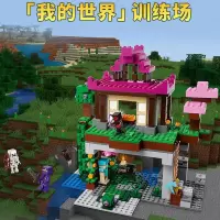 兼容乐高我的世界系列武士训练场21183场景儿童益智拼装积木玩具