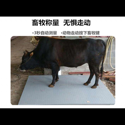 纳丽雅(Naliya)电子地磅秤1-3吨地秤电子秤小台称地磅称猪牛小地磅1-3吨 1.0x1.2米0-3吨