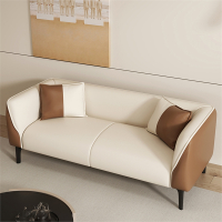 轻奢双人小户型沙发医匠简约现代出租屋公寓皮质客厅美容院女装店