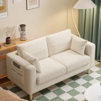 法耐(FANAI)布艺沙发客厅出租房卧室新款双人沙发简约现代网红单人小户型沙发