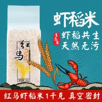 红马虾稻农家米 1kg*2袋小包装2kg大米4斤新米 真空包装香米粳米农家长粒大米