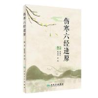 正版 伤寒六经逢原 耿贤华 中医临床辨证诊疗医案医论中医四大经典伤寒杂病论张仲景医学经方临床应用思考 人民卫生出版社