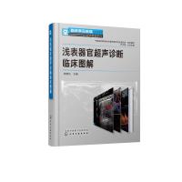 临床常见疾病超声图谱系列 浅表器官超声诊断临床图解 薛恩生 超声科医师 临床医师参考使用书 常见疾病超声图像表现与诊
