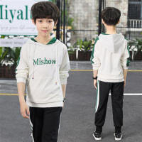 儿童装男童秋装套装2019秋款6新款7男孩8中大童9秋季12洋气15十岁