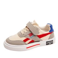 男童板鞋小白鞋运动鞋2019新款女童帆布透气中大童小学生网红春秋