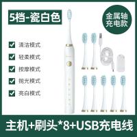 [购前咨询]适用langtian浪天电动牙刷男女成人款非充电式声波自动牙刷软毛防水