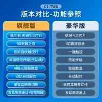 极控者(TiMER)真无线双耳入耳式降噪蓝牙耳机5.0一对跑步运动隐形迷你带 [版本对比]80%客户选择旗舰版 官方标配