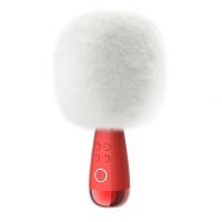 极控者(TiMER)唱吧小巨蛋麦克风向往的生活同款话筒无线K歌话筒音响一体麦克风 套装版-绯红色 官方标配