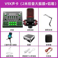 极控者(TiMER)声卡唱歌手机专用直播设备全套 专业版v9x+铝箱[2米录音★降噪大振膜]标配 所有声卡均已精调后发货