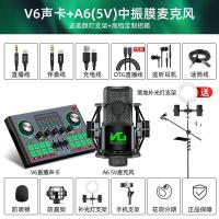 极控者(TiMER)声卡唱歌手机专用直播 V6声卡+A6录音级麦克风+美颜灯落地支架[专业录音全套] 免费调试☆两年质保
