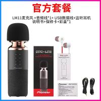 极控者(TiMER)先锋麦克风话筒音响一体无线蓝牙家用户外唱歌儿童全民K歌神器声卡直播设备便携式手机电 曜石黑 官方标配