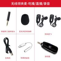 极控者(TiMER)手机无线麦克风领夹式一拖二录音单反相机视频拍 无线双麦版(直插式不带屏幕)+[苹果转接线] 官方标配