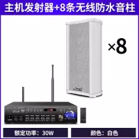 极控者(TiMER)AMOI/夏新X-U1无线蓝牙吸顶音响壁挂喇叭音箱天花吊用商 主机发射器+8个无线防水音柱 官方标配