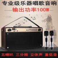 极控者(TiMER)声优Q9S大功率便携式户外发烧级乐器演奏唱歌 重低音广场舞音响 双话筒+演奏神器(二胡专用)