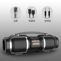 极控者(TiMER)德国HIFI蓝牙音响低音炮户外家用K歌广场舞大功率大音量音箱车载 [大黑色=无线话筒]