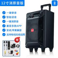 极控者(TiMER)万利达音响户外音箱k歌大功率重低音演出唱歌 12寸消原音版+2无线专业话筒+耳麦+16G优盘+大礼包