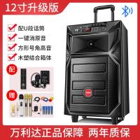 极控者(TiMER)万利达广场舞户外音响专业演出直播唱歌蓝牙家用移动拉杆音 12寸旗舰版3个话筒+耳麦16G优盘+遥控器