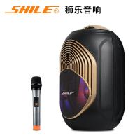 极控者(TiMER)狮乐广场舞音响手提音箱户外蓝牙便携式K歌小型带话筒大功率叫卖家用地摊喊话播放器 SL-2018金色款