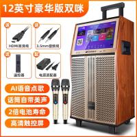 极控者(TiMER)山水QX12广场舞音响带显示屏幕户外音 12英寸双咪(15.6英寸IPS屏+2只智能美声麦克风+配强