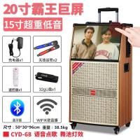 极控者(TiMER)长虹音响一体机便携式拉杆广场舞音响户外1 20寸触摸屏CYD612民K歌系统+两支无线U段话筒+礼包