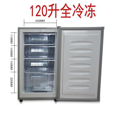 极控者TiMER90L/120L立式全冷冻冰箱 单节能家用抽屉式迷你车载小冰箱 120升全冷冻