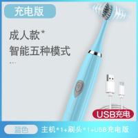 电动牙刷家用成人款电池式软毛牙刷自动牙刷情侣防水声波牙刷 升级款充电式天空蓝