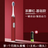 电动牙刷成人软毛儿童式声波电动牙刷学生软毛儿童电动牙刷学生 茶蘼红-基础款1挡【1刷头】