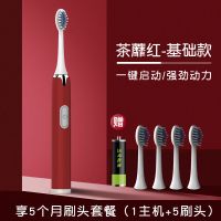 电动牙刷成人软毛儿童式声波电动牙刷学生软毛儿童电动牙刷学生 茶蘼红-基础款1挡【5刷头】