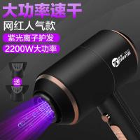 稚优泉CHIOTURE电吹风机发型师发廊专用大功率家用静音孕妇负离子不伤发大吹风筒 香槟金+2风嘴+美发梳3件套