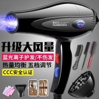 稚优泉CHIOTURE惠能达家用电吹风机发廊理发店大功率离 【旗舰版】发廊大风力-蓝光护发-送全部赠品（推荐:★★★★★