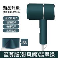 稚优泉CHIOTURE电吹风机家用负离子大功率宿舍学生网红款风筒发廊静音冷 至尊版（带风嘴、三档温控、蓝光负离子）翡翠绿