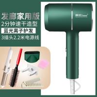 稚优泉CHIOTURE吹风机家用不伤发理发店大小功率负离子护发电吹风筒宿舍 墨绿发廊家用版蓝光负离子送六+直卷两用美发器