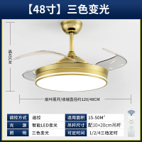 奥克斯风扇灯吊扇灯家用一体餐厅客厅隐形带吊灯电扇卧室新款 48寸-B款金-变光-遥控