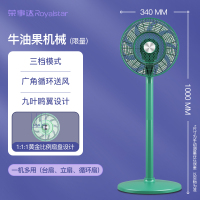 荣事达电风扇家用遥控摇头风扇台式立式两用电扇办公室宿舍落地扇 牛油果机械[限量]