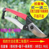 园林园艺剪刀修枝剪果树剪刀多功能家用省力树枝剪子工具修花剪刀 双色柄修枝剪