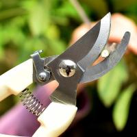 剪枝剪刀园艺修枝剪园林花剪修花艺工具家用粗枝剪果树枝剪刀省力 白色